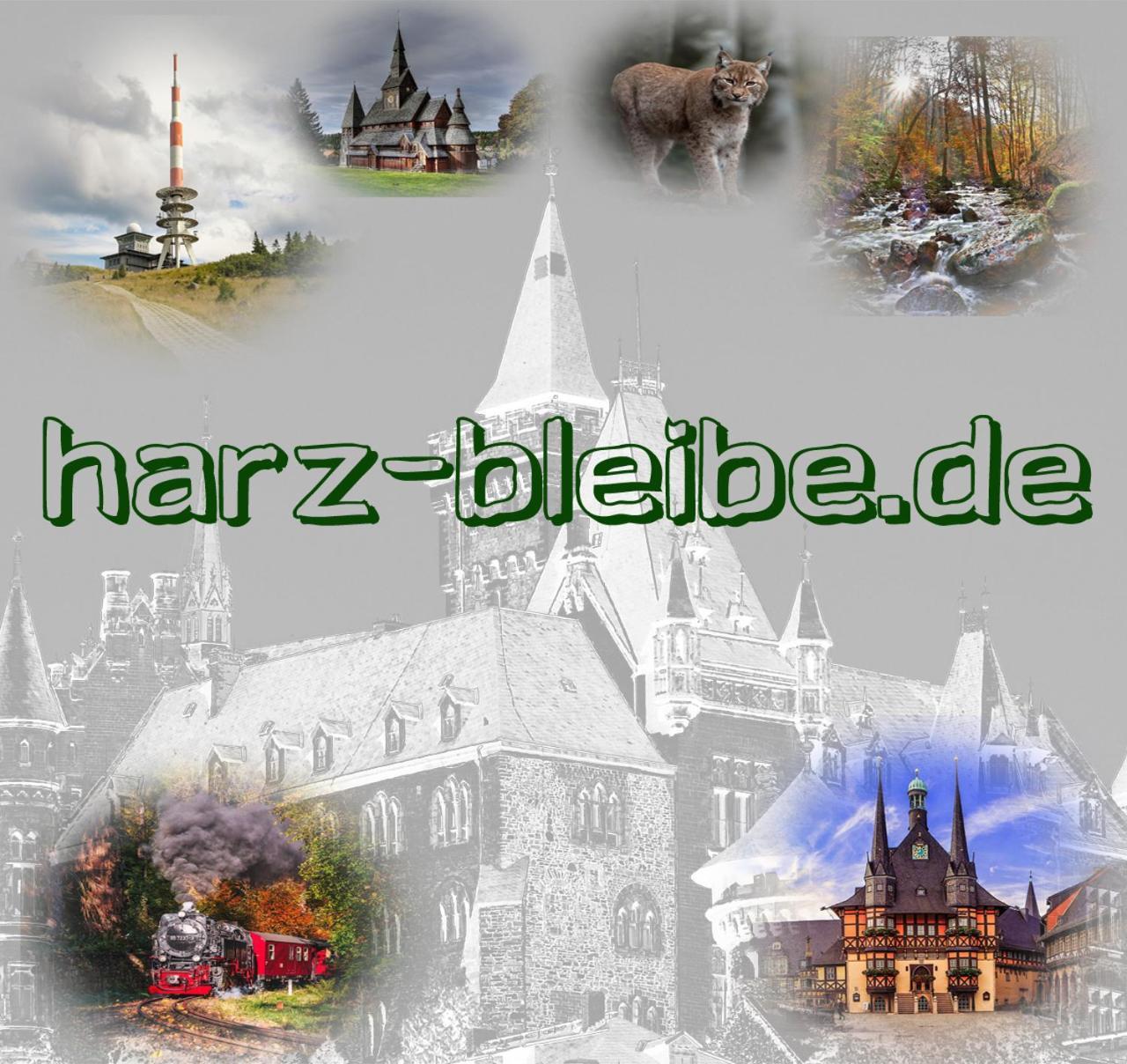 Harz-Bleibe Wernigerode Apartment Exterior foto
